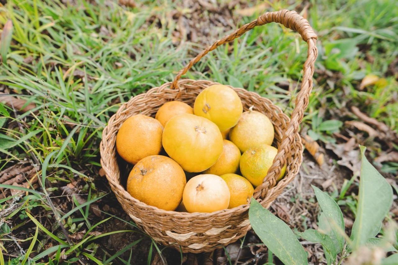 Piripe Wellness Lodge Pacto Luaran gambar