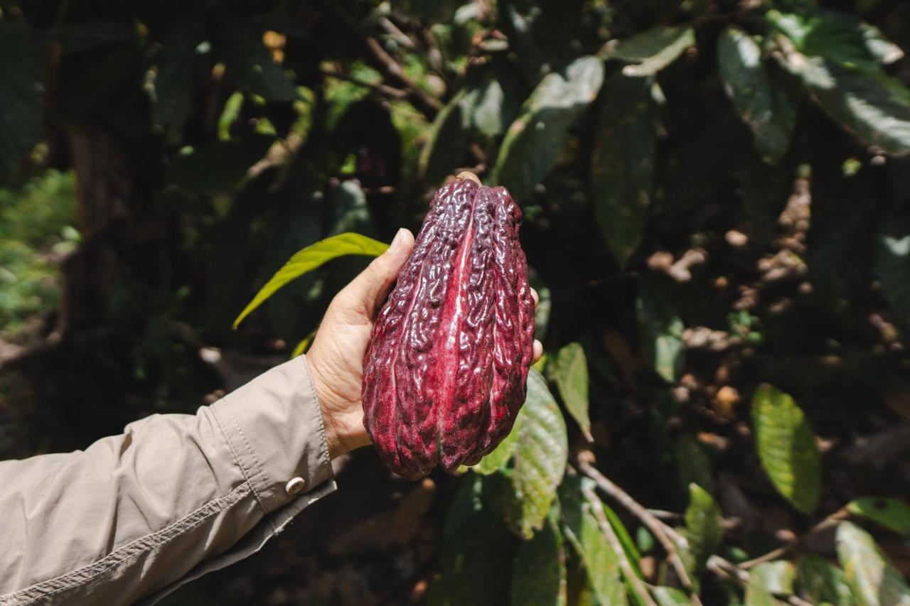Piripe Wellness Lodge Pacto Luaran gambar