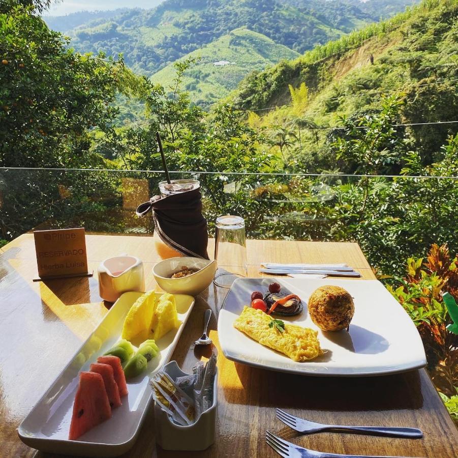 Piripe Wellness Lodge Pacto Luaran gambar